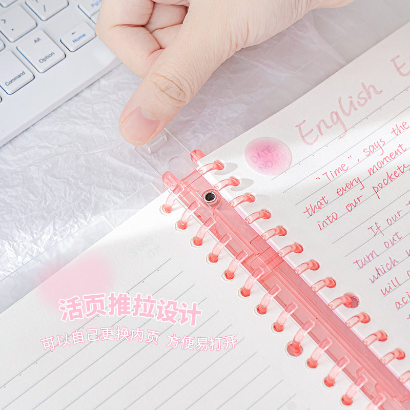 Fall in ♥ Gradient Blush   loose-leaf notebook